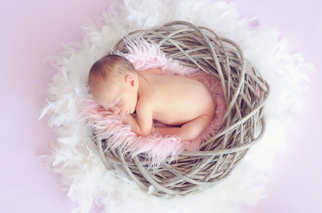 A baby sits inside a fluffy carpet and inside a nest. Here's just a little update.