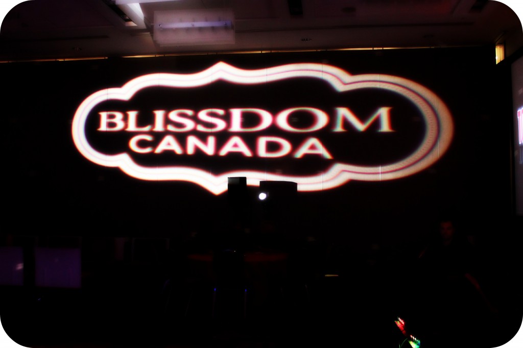 Blissdom Canada 2011: The Experience