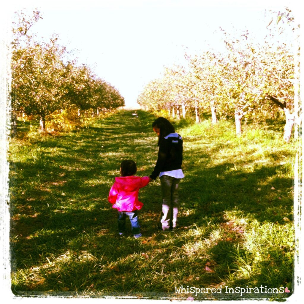 Two little girls walk in an apple orchard holding hands. 