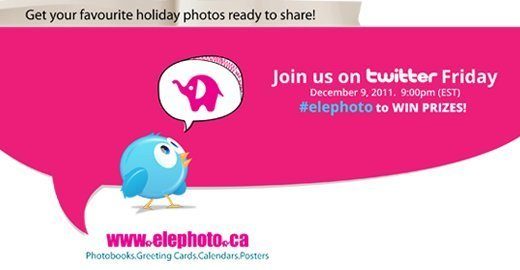 Cute Twitter bird looking up at Elly the Elephoto elephant. 