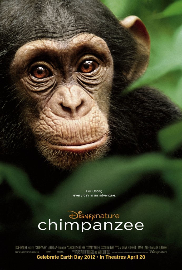 The movie cover of Disneynature Chimpanzee.