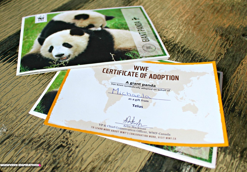 Wwf Adoption Kit The W Guide