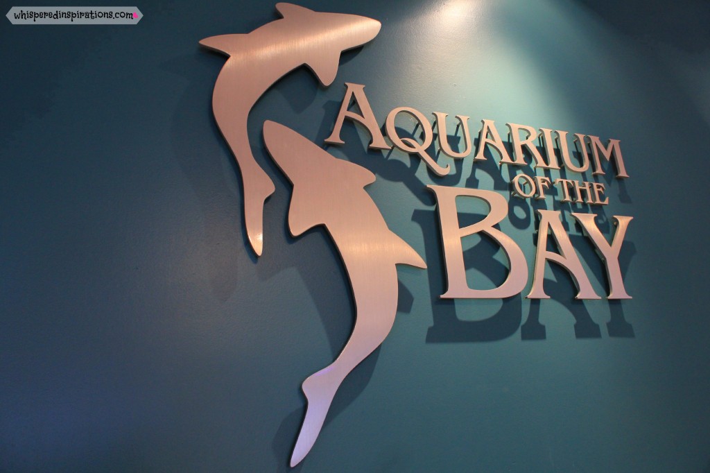 CityPASS-Aquarium-01