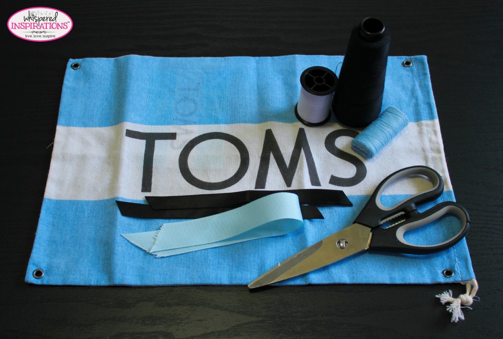 TOMS-01