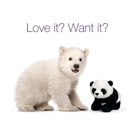 10-wwf-FACEBOOK-polarpanda