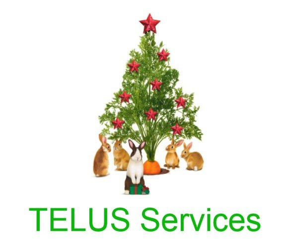 TELUS-Services
