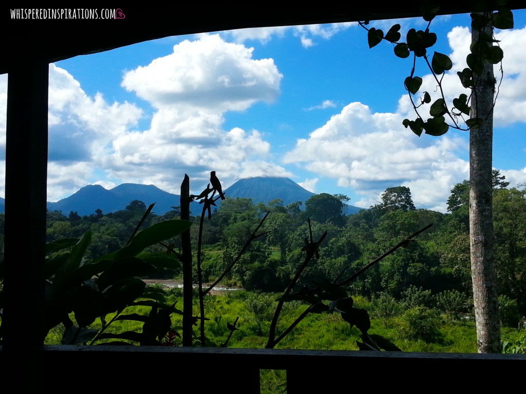 Silhouette of a bird with the volcano in Costa Rica behind it.