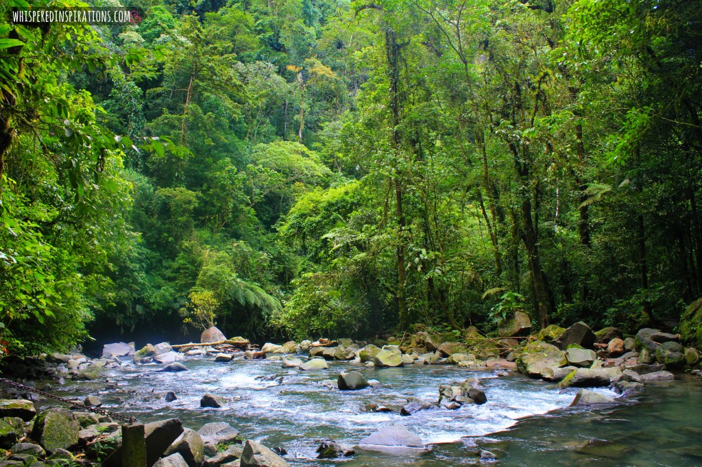 Catarata-Arenal-06