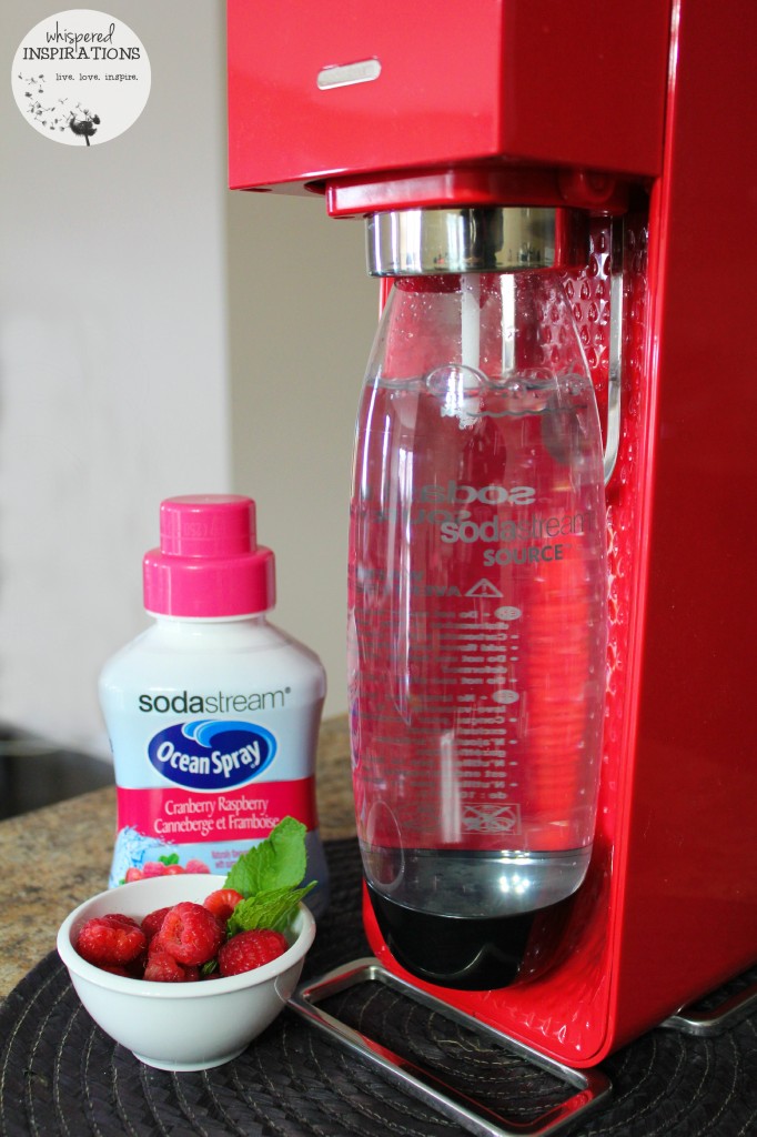 A SodaStream is filled with bubbles and syrup and fresh berries are shown.