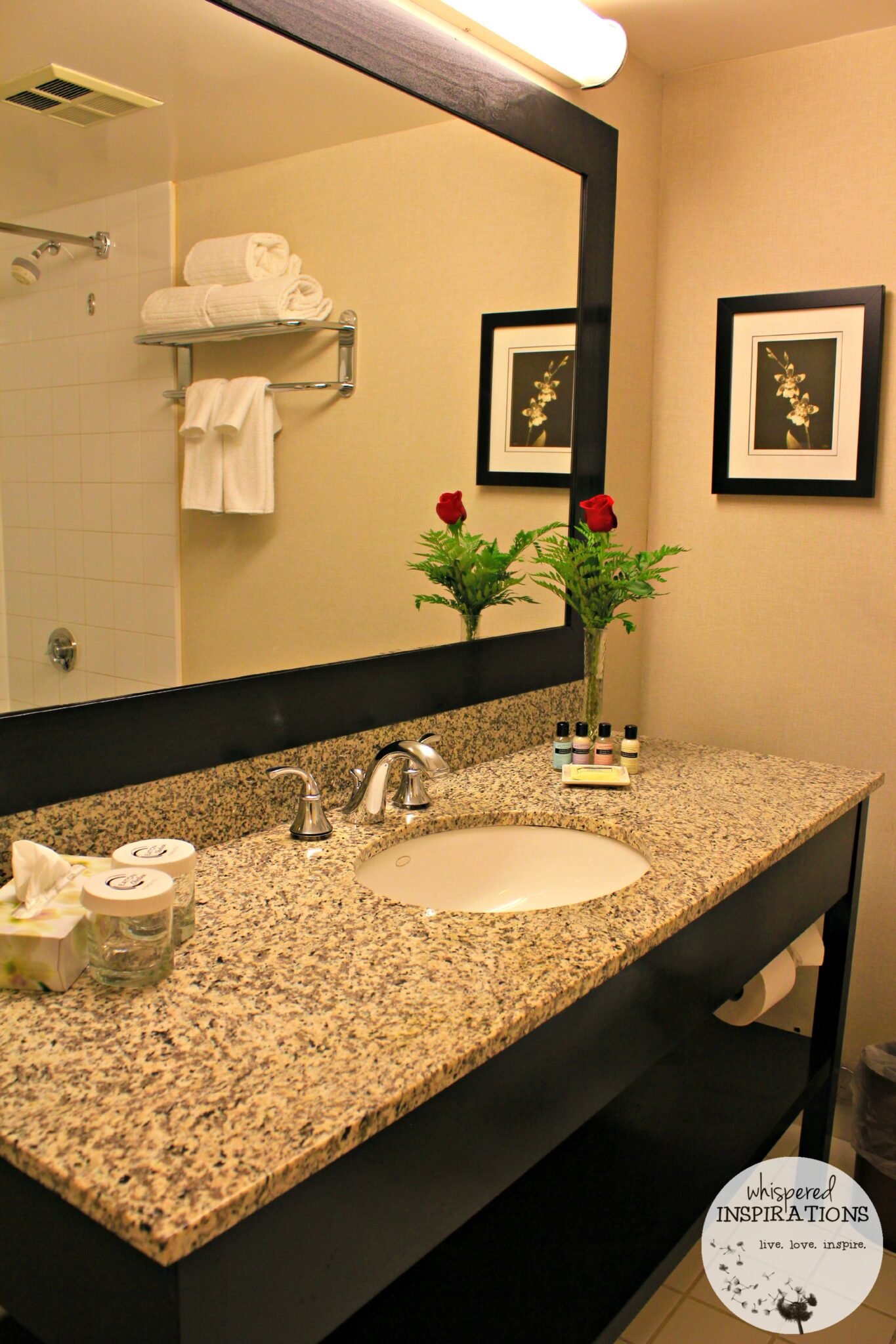 The view of the vanity in the washroom. 