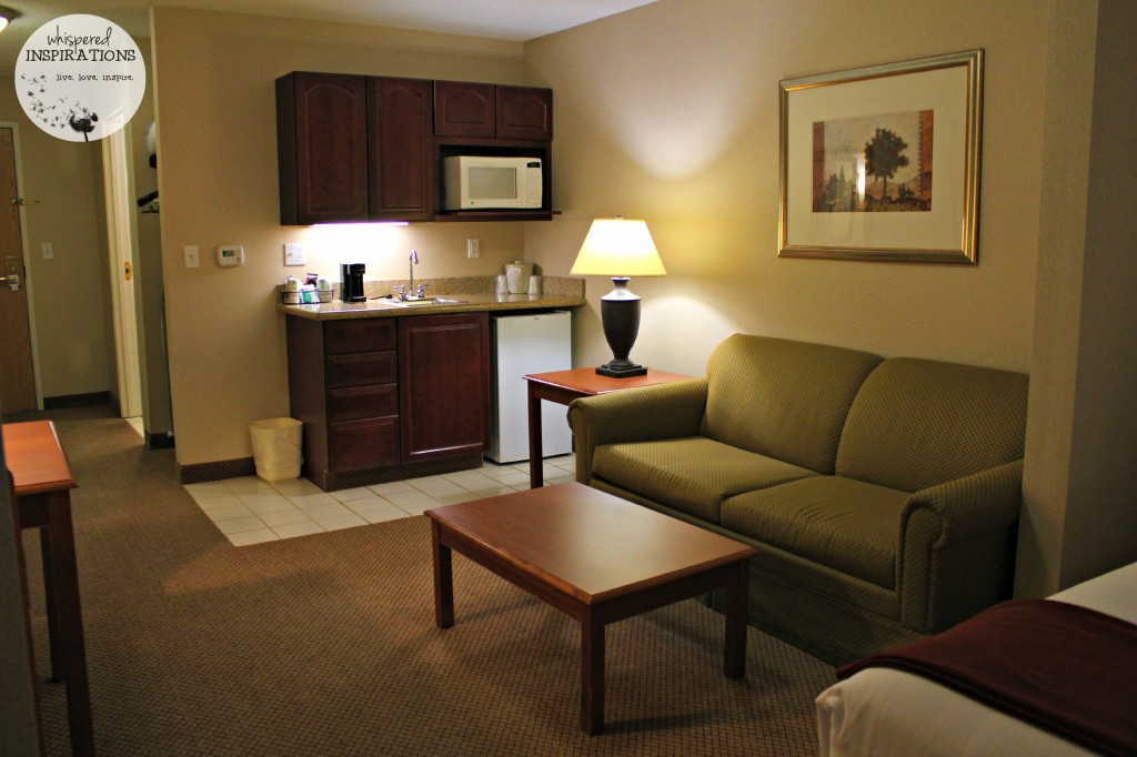 HolidayInn-Utica-04