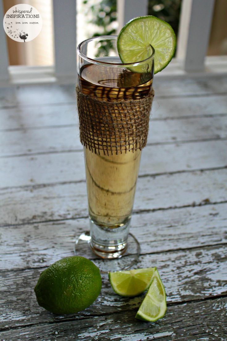 Soda Stream Invigorating Ginger Ale with lime.