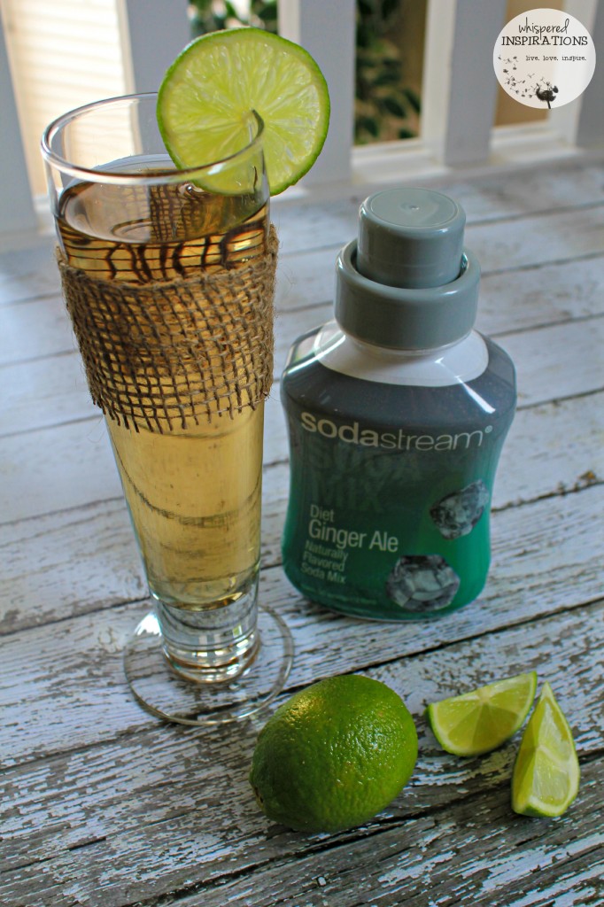 Ginger Ale with lime with the SodaStream syrup. 