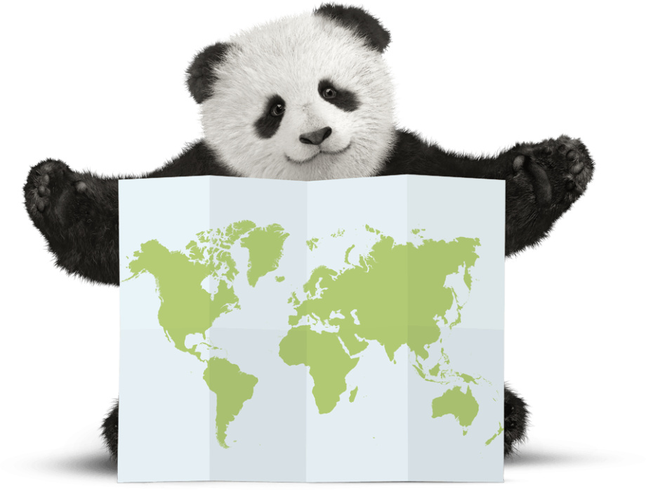 Панда с картами. Принты панды.