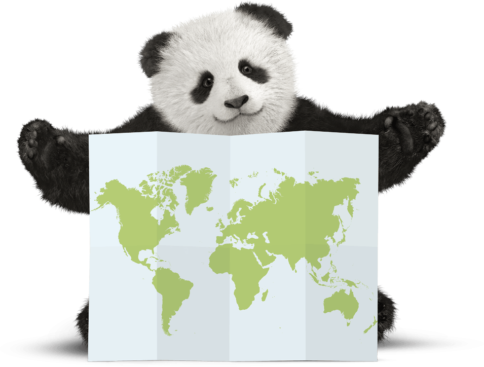 panda-map-with-legs