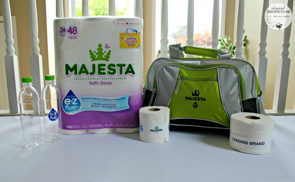 Majesta-EZFlush-01-1