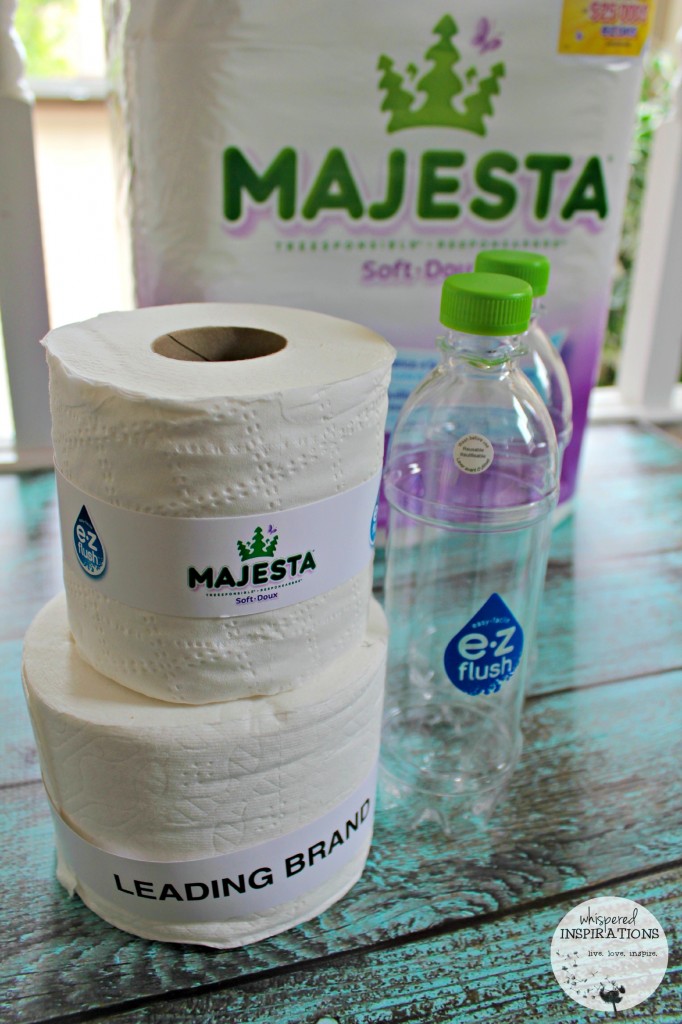 Majesta-EZFlush-02