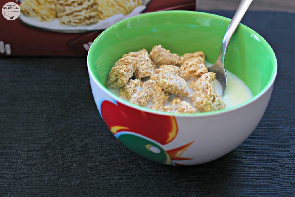 Kelloggs-Warm-MiniWheats-05