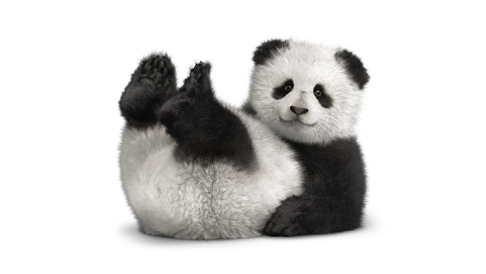 Panda_BK_FtHrz_Panda_Legs_Up_tm