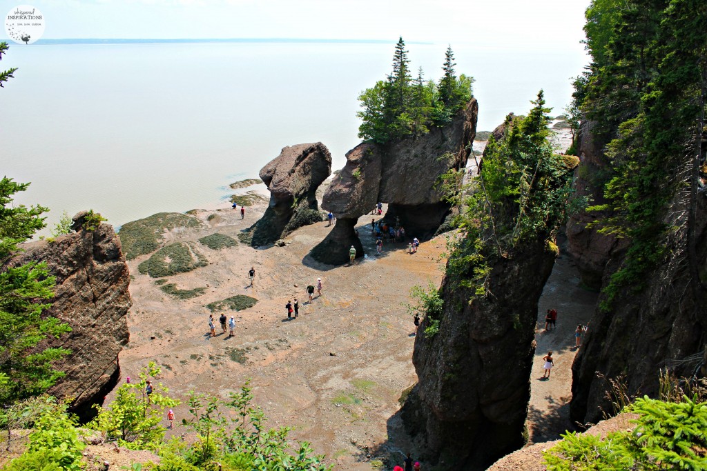 If you're traveling to New Brunswick, make sure to make the Hopewell Rocks one of your stops. It's majestic. #travel