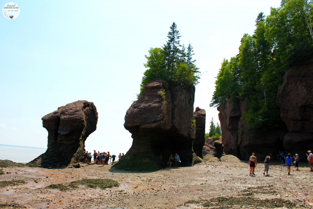 Rock Formations at low tide at Hopewell Rocks, people are exploring the ocean floor.