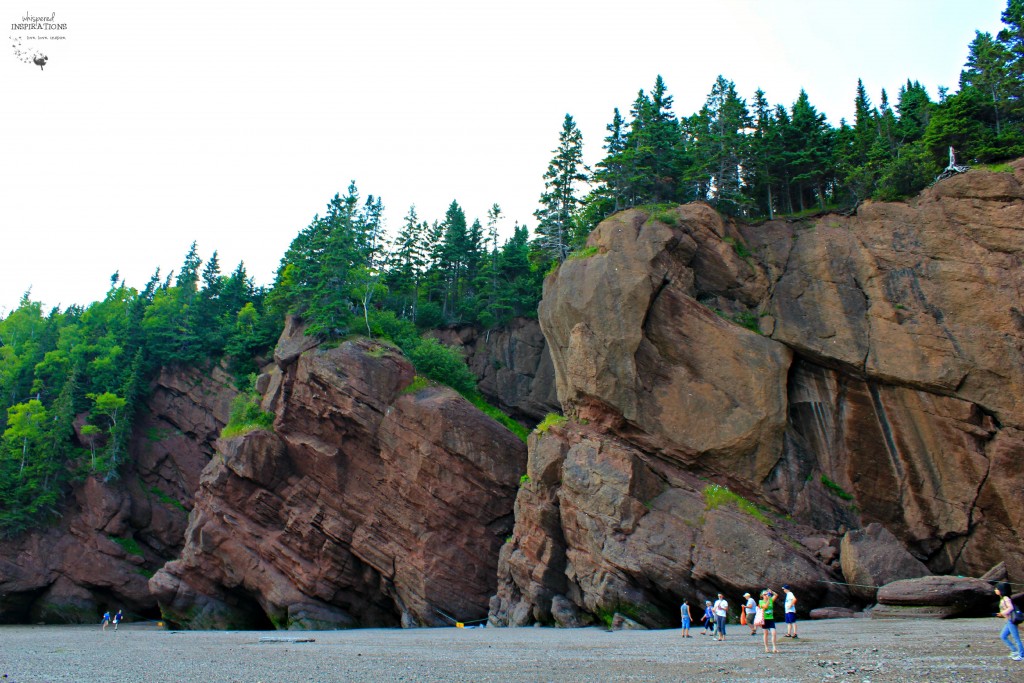 Hopewell-Rocks-11