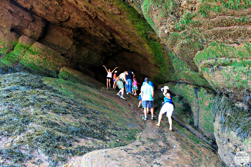 Hopewell-Rocks-12