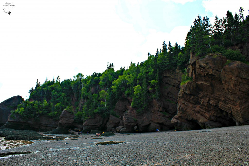 Hopewell-Rocks-14