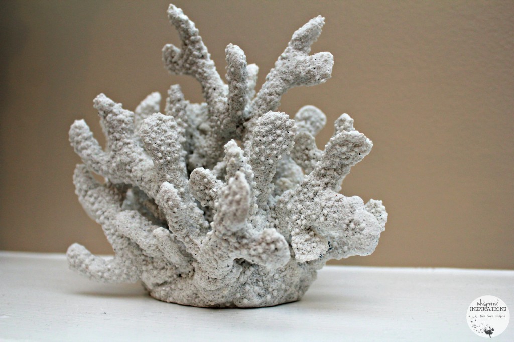 A white coral sits against a brown background.