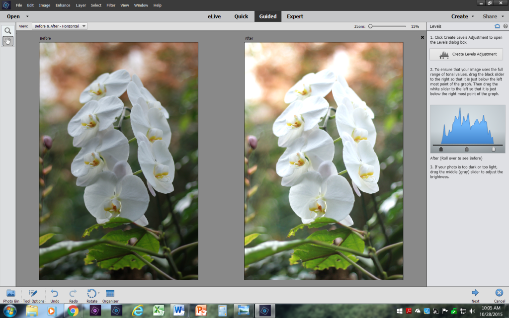 Before and After Photoshop Elements