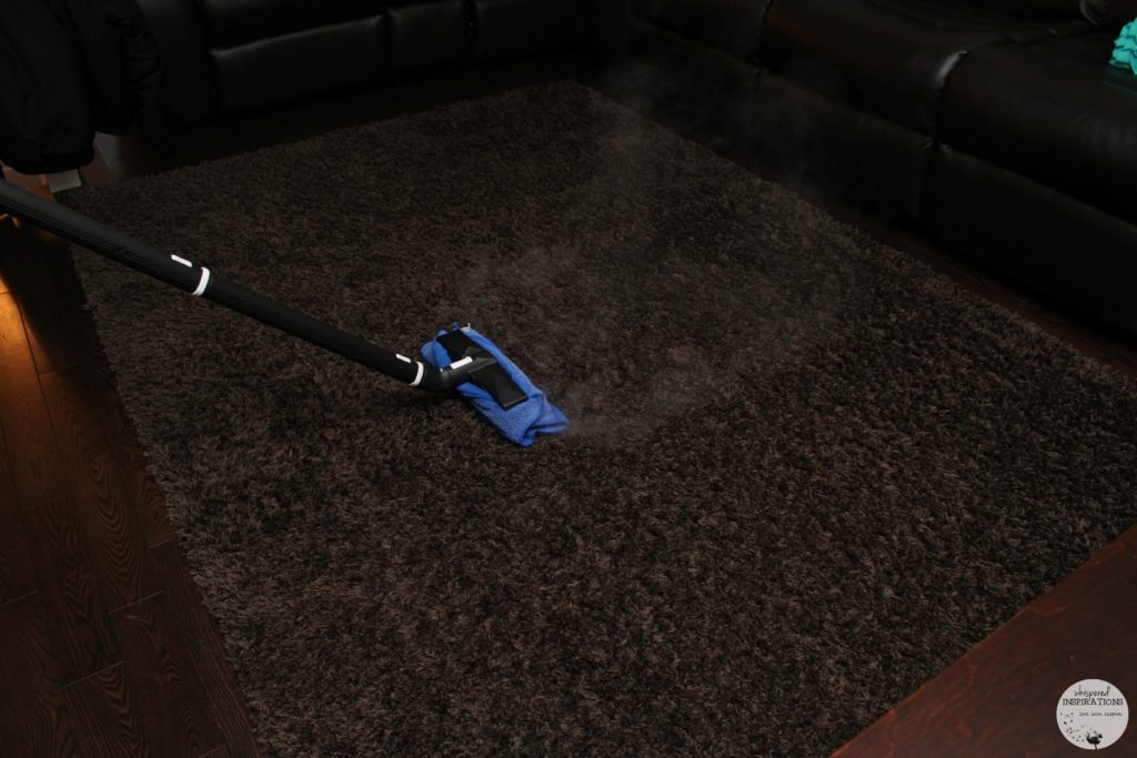 Discover the ONE Plus Dupray Steam Cleaner Make Your Home the Cleanest