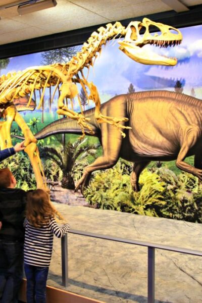 Why You Need to Visit Dinosaurland with Your Family!