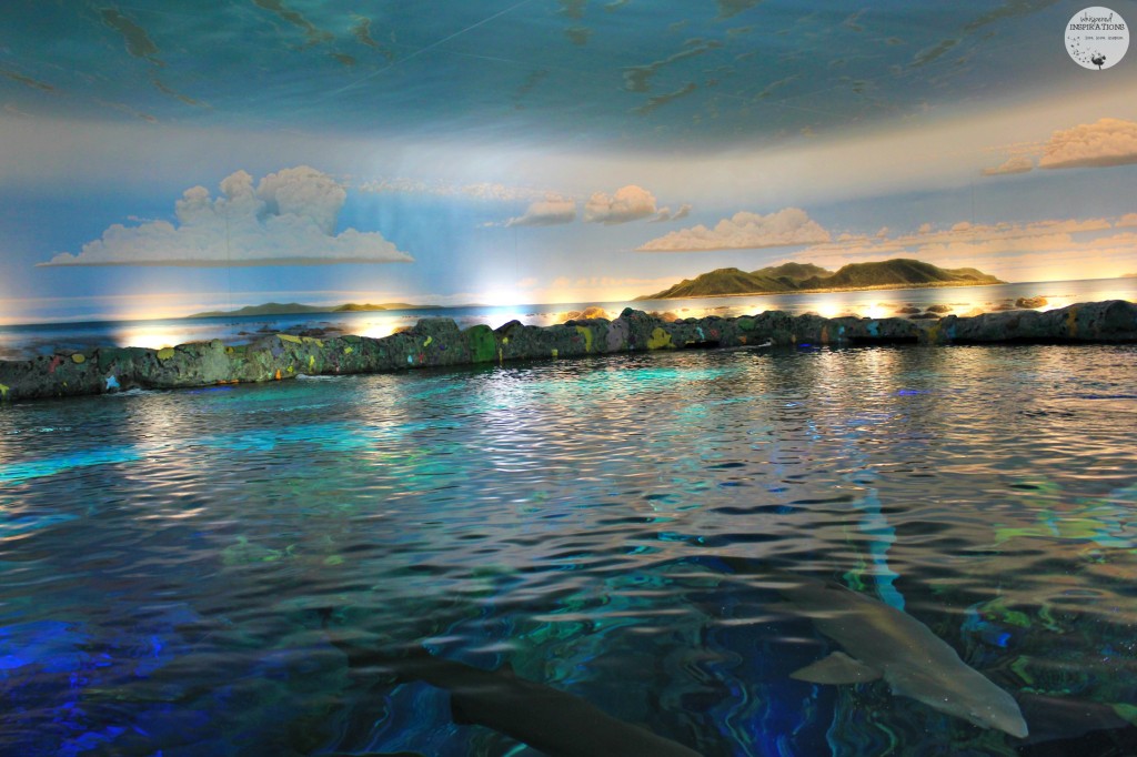 Taking Your Family to Ripley's Aquarium of Canada in Toronto! #travel