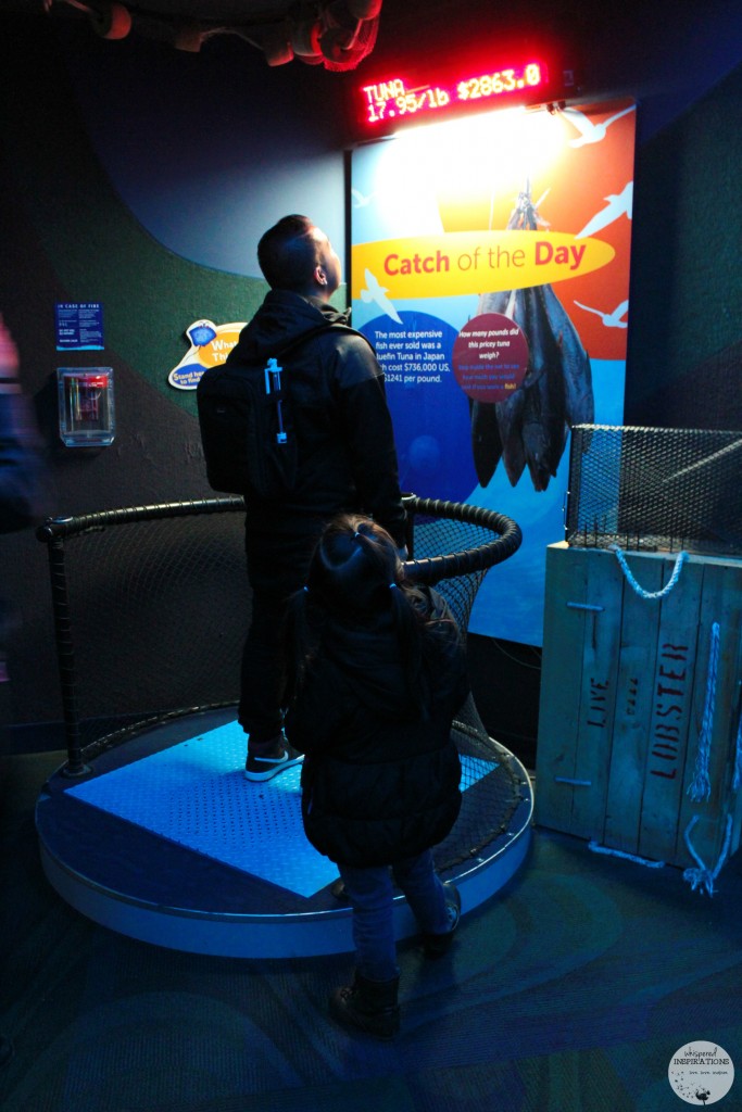 Taking Your Family to Ripley's Aquarium of Canada in Toronto! #travel