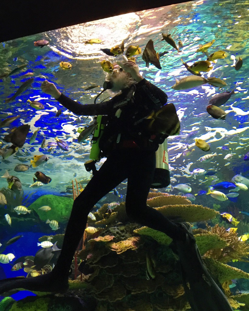 Ripleys-Aquarium-of-Canada-11