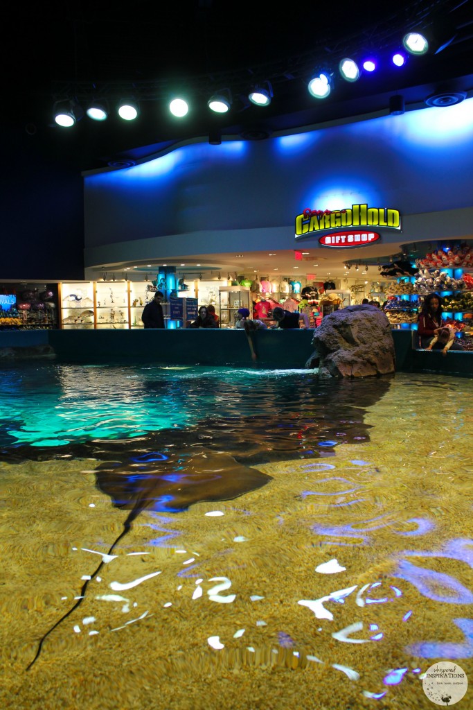 Taking Your Family to Ripley's Aquarium of Canada in Toronto! #travel