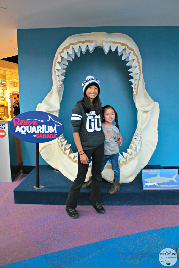 Taking Your Family to Ripley's Aquarium of Canada in Toronto! #travel