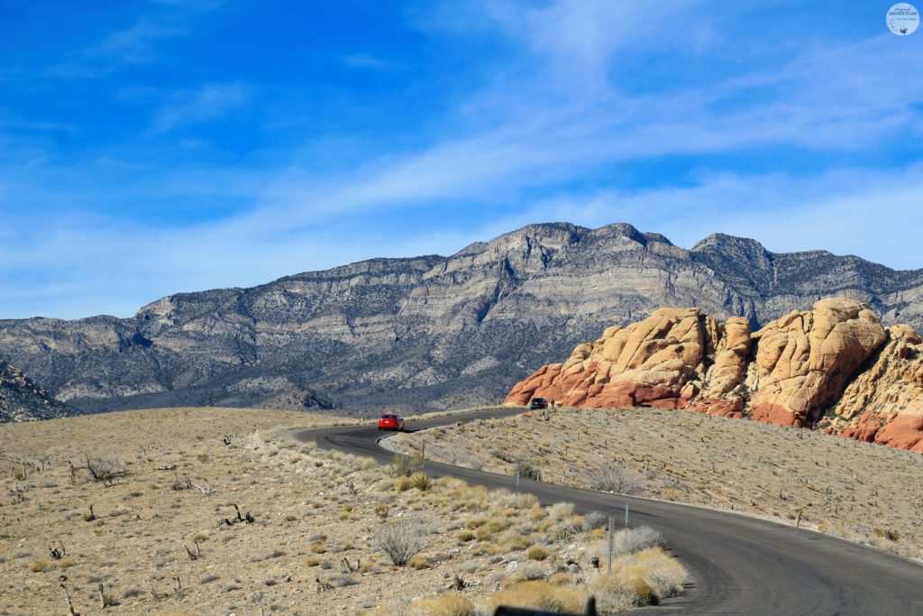 Visit the Beautiful Red Rock Canyon During a Trip to Las Vegas