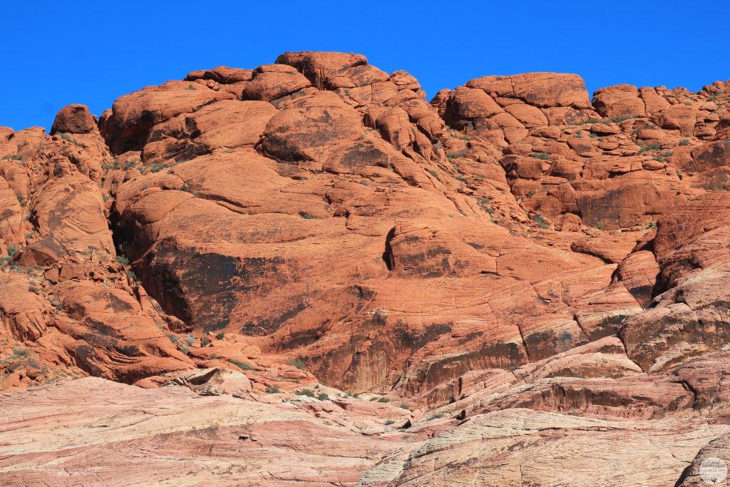 Visit the Beautiful Red Rock Canyon During a Trip to Las Vegas. #travel