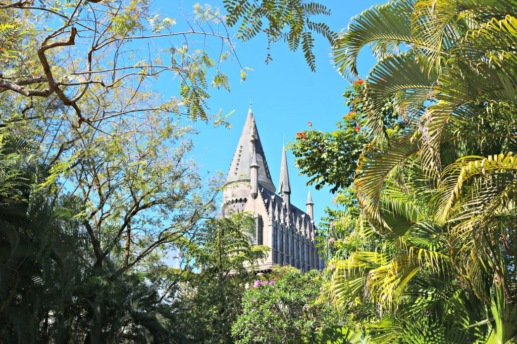 The Hogwarts Castle framed by trees.