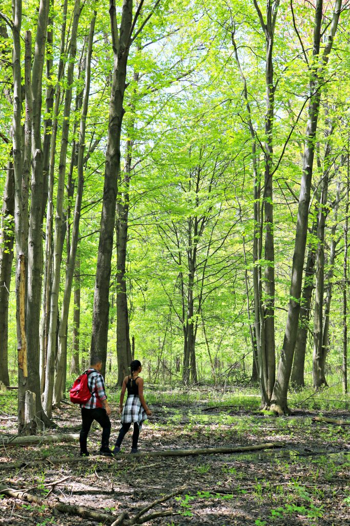 What to Pack When Hiking with Kids + Top Family Friendly Trails in Ontario! #TakeAHike