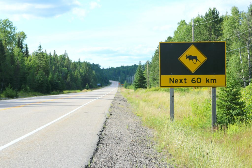 An empty highway with a moose sign that says, "Next 60 km". 