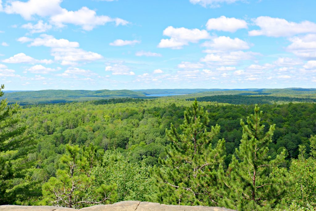 The top bed of Algonquin. 