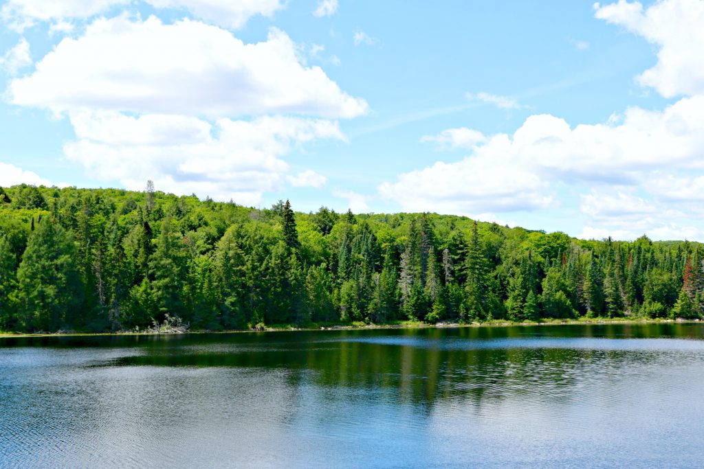 One of many lakes on the way to Couples Resort. 