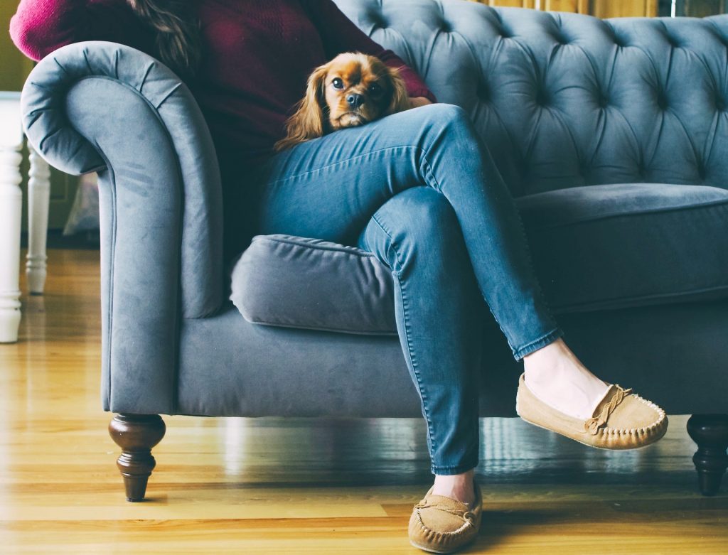 6 Pet-Friendly Furniture Ideas For Your Home!