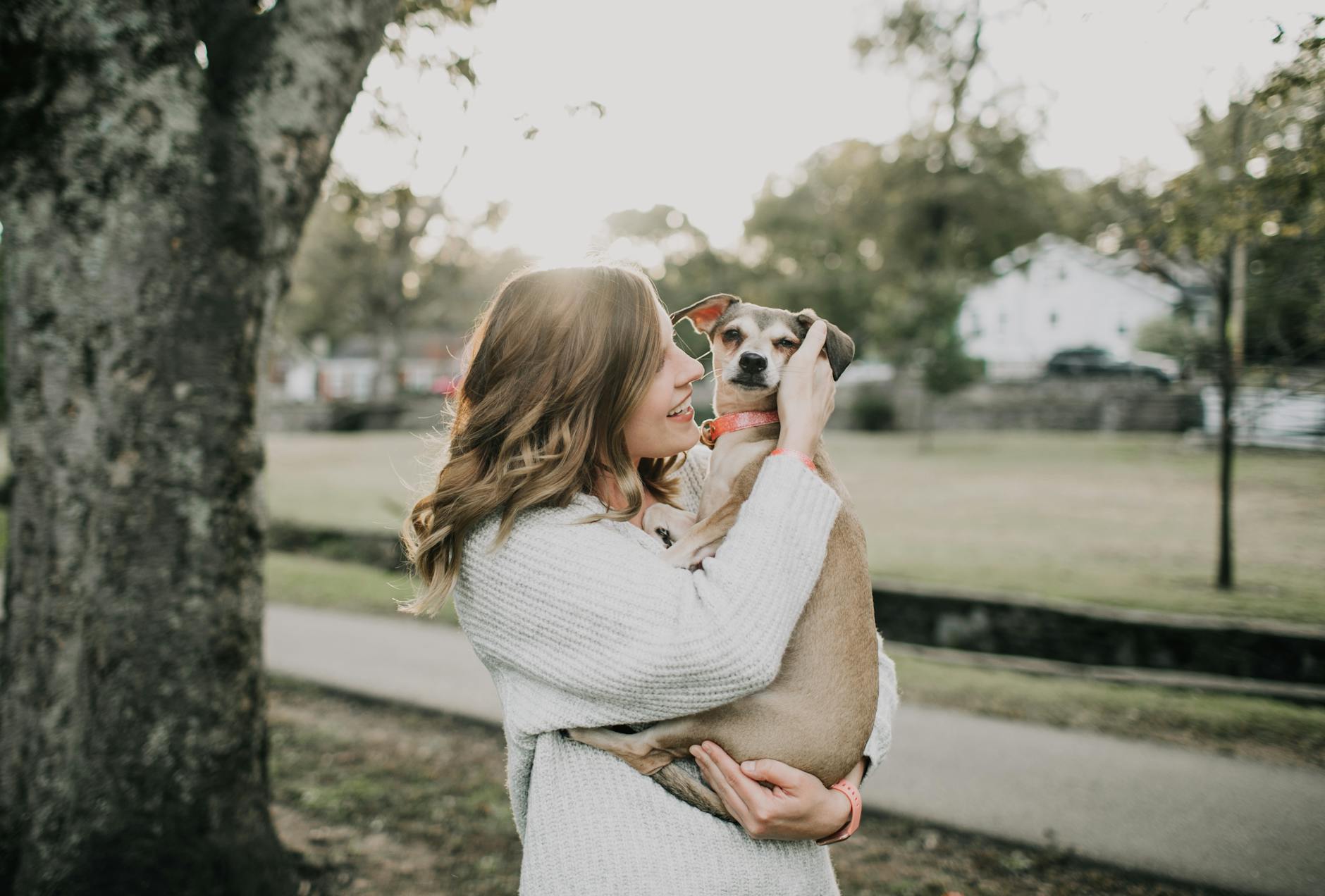 A smiling woman carrying a dog near the tree. This article covers pet-friendly furniture ideas for your home.