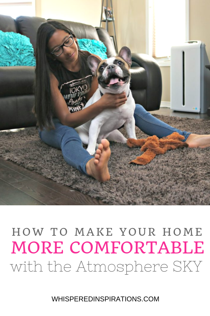 A teenager plays with her french bulldog on the carpet of her living room. The Atmosphere SKY is shown in the background. 