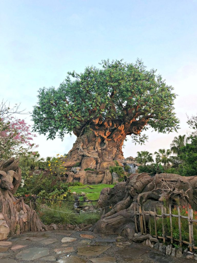 The Tree of Life at Animal Kingdom early in the morning.