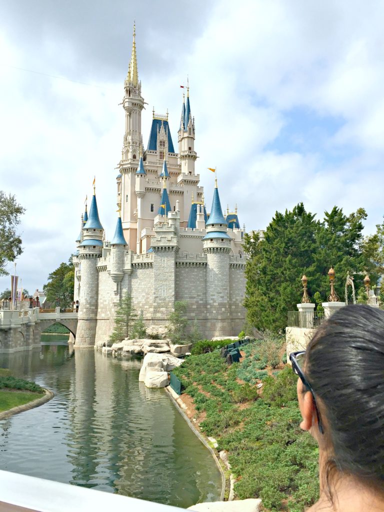 A teen looks up at Cinderella's castle. 