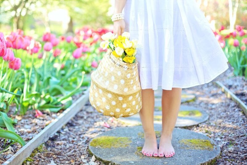 4 Signs Spring Has Almost Arrived - Whispered Inspirations